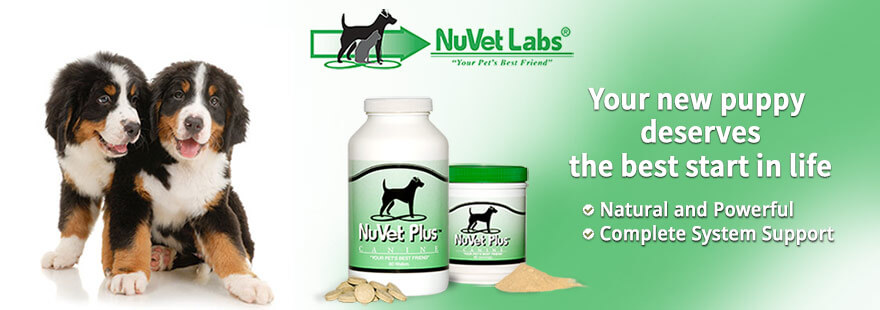 nuvet labs dogs cats vitamins supplements header